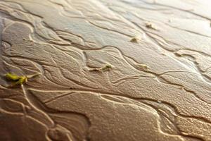 close-up photo of sea sand with receding wave traces and small leaves
