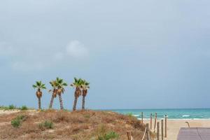 view of the sea and sandy beach with dunes, palm trees and wooden walkways against the backdrop of rain cloudy sky photo
