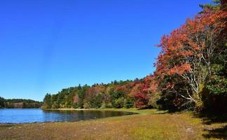 Autumn Foliage on Trees Surrrounding a Lake in New England photo