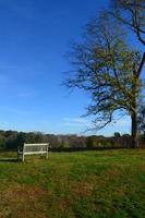 White Sitting bench in Worlds end park photo