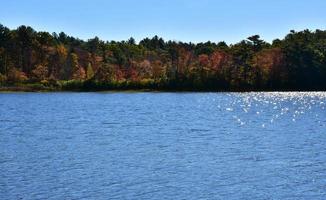 Glistening Lake with Fall Foliage on the Trees photo