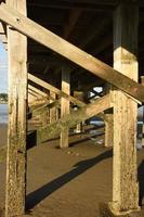 Wooden Pilings Under Powder Point Bridge in Duxbury photo