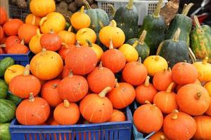 Healthy and fresh pumpkins are neatly arranged in baskets for sale in traditional markets. fresh orange vegetable background photo