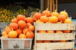 Healthy and fresh pumpkins are neatly arranged in baskets for sale in traditional markets. fresh orange vegetable background photo