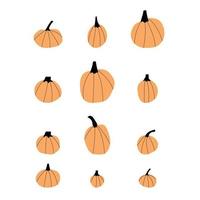 Autumn pumpkin plant Agriculture symbol. Fall decor. Fresh healthy food. Thanksgiving and Halloween Elements. vector