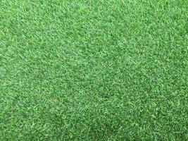 Closeup view of green grass soccer field background. Wallpaper for work and design. photo