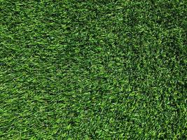Green grass in the natural background for design photo