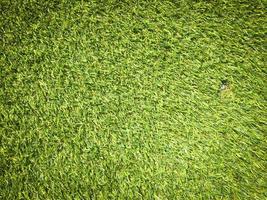 Green grass texture use as natural background. Wallpaper for design artwork photo