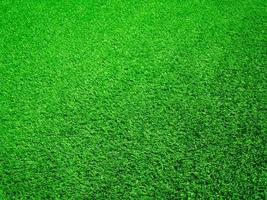 Green grass close up view in the jungle with copy space for design photo