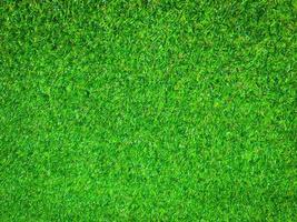 Closeup view of green grass soccer field background. Wallpaper for work and design. photo