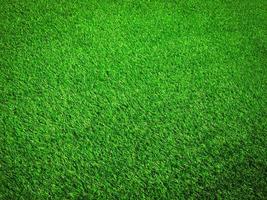 Green grass in the natural background for design photo