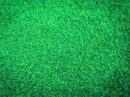 Closeup view of green grass soccer field background. Wallpaper for work and design. photo