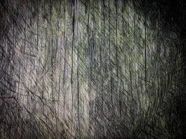 Old wood texture background for design photo