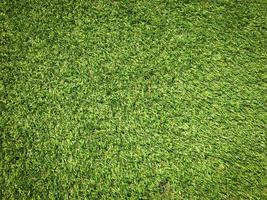 Green grass texture use as natural background. Wallpaper for design artwork photo