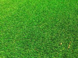 Green grass in the natural background for design photo