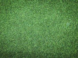 Green grass close up view in the jungle with copy space for design photo