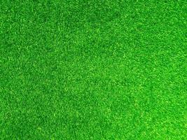 Green grass texture use as natural background. Wallpaper for design artwork photo