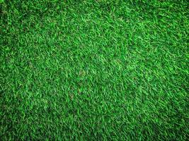 Nature green grass texture background for design. Eco concept. photo