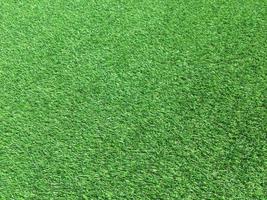Green grass in the natural background for design photo