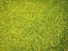 Artificial grass texture space background photo