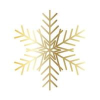 Vector snowflake  web Icon isolated