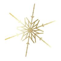 Vector snowflake  web Icon isolated