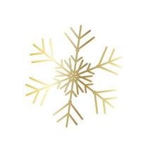 Vector snowflake  web Icon isolated