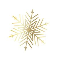 Vector snowflake  web Icon isolated