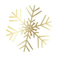 Vector snowflake  web Icon isolated