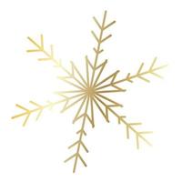Vector snowflake  web Icon isolated