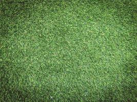 Nature green grass texture background for design. Eco concept. photo