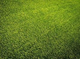 Green grass in the natural background for design photo
