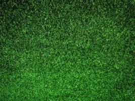 Closeup view of green grass soccer field background. Wallpaper for work and design. photo