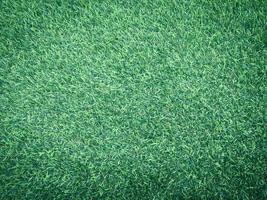 Closeup view of green grass soccer field background. Wallpaper for work and design. photo