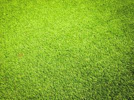 Green grass in the natural background for design photo