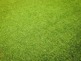 Green grass in the natural background for design photo