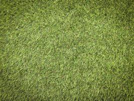 Nature green grass texture background for design. Eco concept. photo
