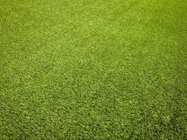 Green grass in the natural background for design photo
