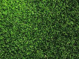 Green grass texture use as natural background. Wallpaper for design artwork photo