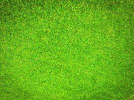 Closeup view of green grass soccer field background. Wallpaper for work and design. photo