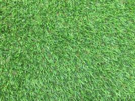Nature green grass texture background for design. Eco concept. photo