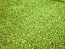 Closeup view of green grass soccer field background. Wallpaper for work and design. photo
