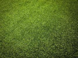 Green grass in the natural background for design photo