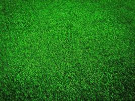 Green grass in the natural background for design photo