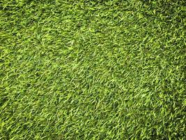 Modern green lawn texture background. Wallpaper for work and design. photo
