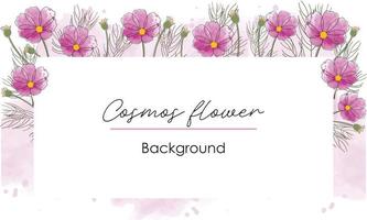 Watercolor pink purple cosmos flower isolated on white background for letter frame. Autumn flowers invitation template card. Bouquet of wildflower aster in a watercolor style. vector