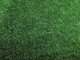 Nature green grass texture background for design. Eco concept. photo