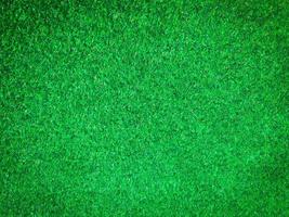 Closeup view of green grass soccer field background. Wallpaper for work and design. photo