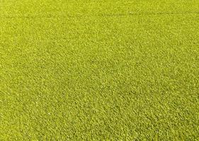 Artificial green lawn backyard for background. Texture for design photo