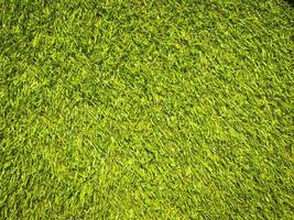 Artificial green lawn backyard for background. Texture for design photo